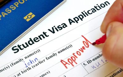 Comment demander un visa en ligne ?